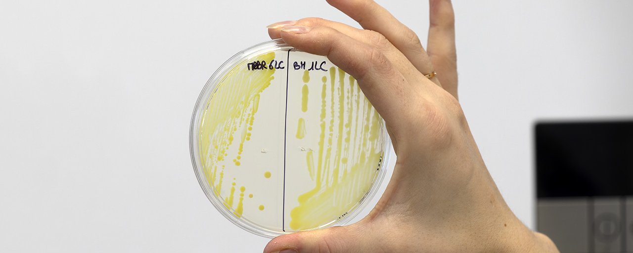 NBCO SOLUTIONS • Acteur du traitement biologique des eaux usées industrielles 