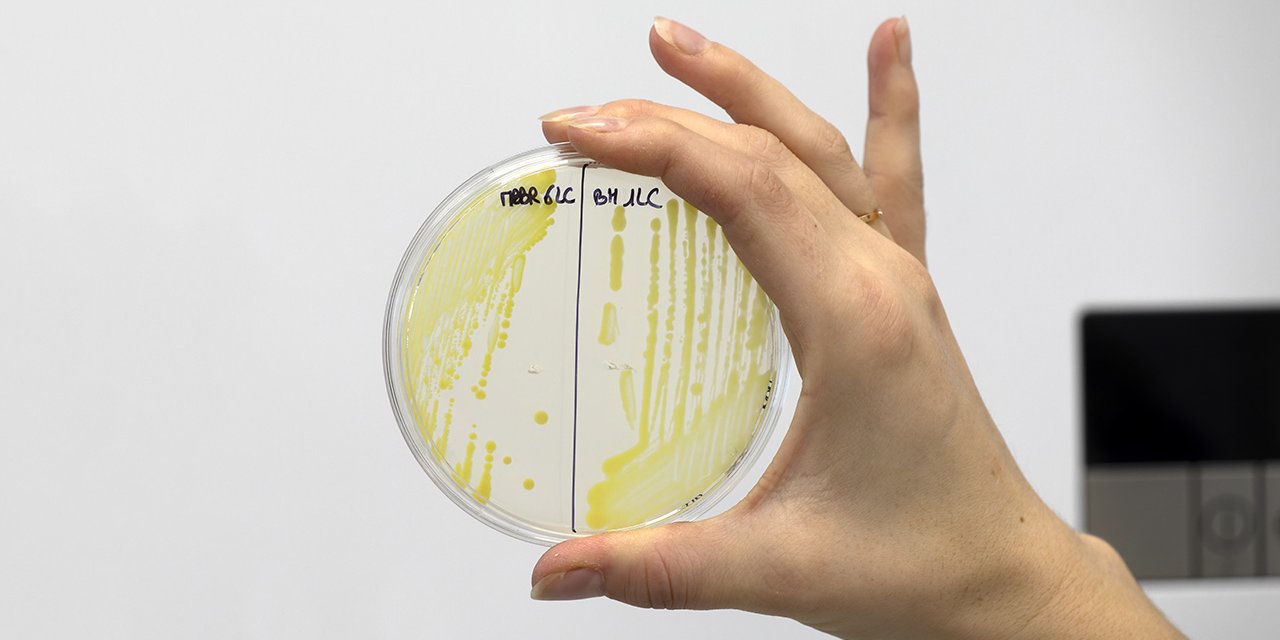 NBCO SOLUTIONS • Acteur du traitement biologique des eaux usées industrielles 